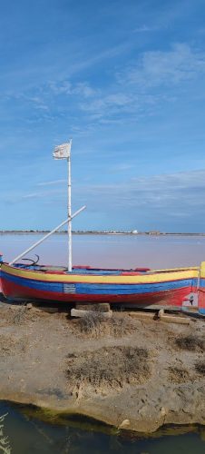 Gruissan_salins5