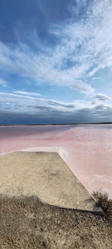 Gruissan_salins55