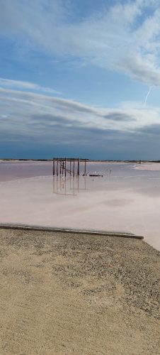 Gruissan_salins56