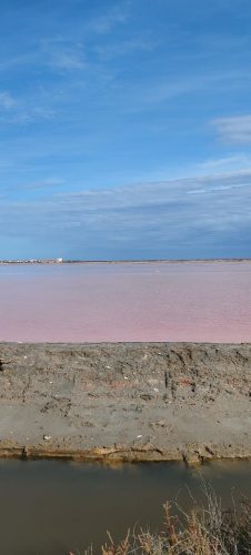 Gruissan_salins6