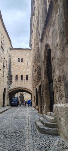 Narbonne11