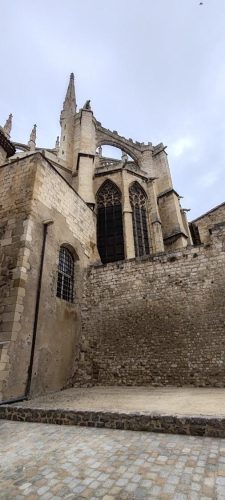 Narbonne14