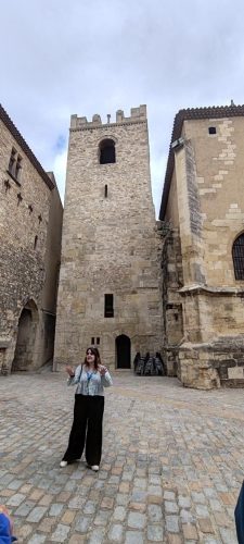 Narbonne16