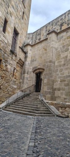 Narbonne25