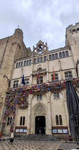 Narbonne3