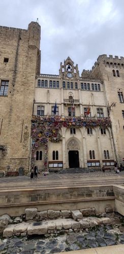 Narbonne5