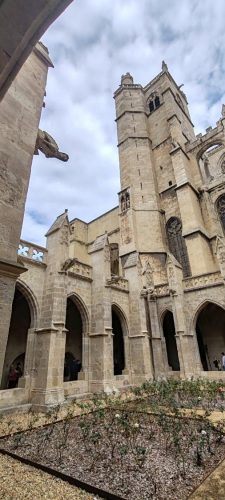 NarbonneCathédrale11