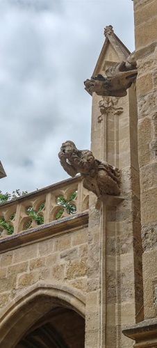 NarbonneCathédrale15