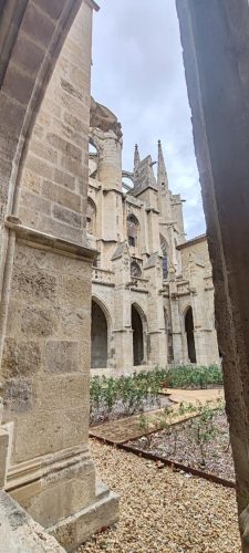 NarbonneCathédrale2